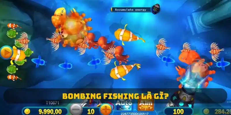 Bombing Fishing là gì?