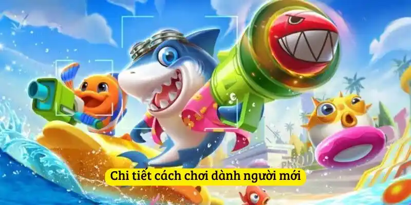 Chi tiết cách chơi dành người mới