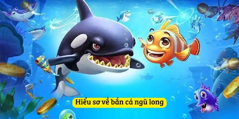 Hiểu sơ về bắn cá ngũ long