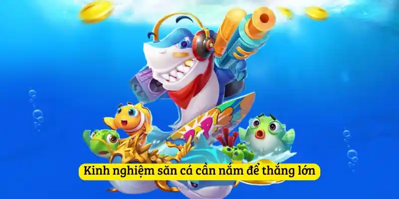 Kinh nghiệm săn cá cần nắm để thắng lớn
